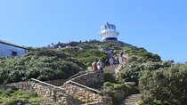 Table Mountain and Cape of Good Hope with Penguins 