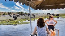 Chobe’s Half-Day River Adventure: Where the giants come to bath