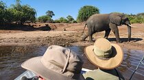 Gentle Giants at the Water’s Edge: Half day Chobe River Safari
