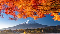 Discover Mt. Fuji 5th Station & Kawaguchiko Sightseeing Day Tour