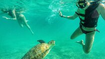 Private Tour: Turtle Swim & Underground Cenote