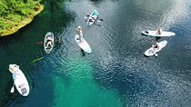 Rainbow Springs Clear Kayak and Paddleboard Rentals