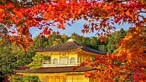 Most Popular Kyoto and Nara Day Trip to Torii Gates and Temples 