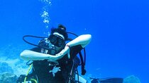 Hurghada Full Day Scuba Diving by Boat For Beginners 