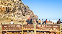 Half Day Cape Point and Boulders Beach Penguin Group Tour