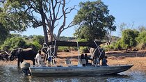 Chobe Explorer: Full-Day Land & River Safari (Small Group)