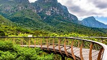 Cape Town Garden Entry Kirstenbosch Botanical Experience
