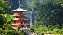 Private Driver and Car Day Tour from Osaka to Wakayama