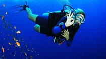 Scuba Diving PADI Open Water Course 3 Days in Red Sea :Hurghada