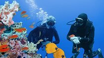 Scuba Diving PADI Advanced Open Water Course in Red Sea :Hurghada