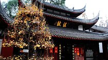Private Cultural and Scenic Tour in the Center of Chengdu