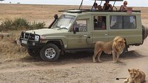  Masai Mara Transfer From Nairobi
