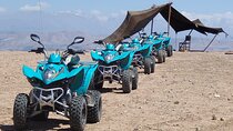 Marrakech Quad biking & camel ride experience 