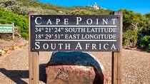 Full Day Cape Peninsula Tour