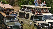  5-Days Masai Mara and Lake Nakuru Lodge Safari