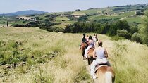 Scenic Tuscan Horseback Ride with Aperitif near Florence
