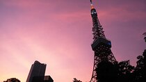 Tokyo Tower Sunset Shared Tour
