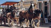 Ballarat Animals and Gold Rush Sovereign Hill Tour