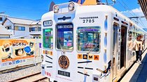 Osaka Wakayama Cat Train, Seafood market, Hot Springs Tour