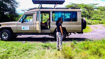 1 Day Arusha national park (Game drive and walking safari).