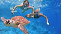 Islands of Hamata: Snorkeling & Sailing Experience Marsa Alam