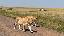 3-Day Masai Mara National Reserve