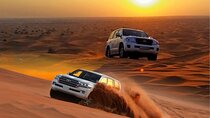 VIP Dubai Desert Safari, Camel ride Live shows and BBQ Dinner
