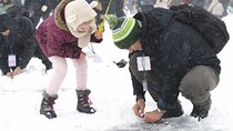 Hwacheon Ice Fishing Festival Day Tour from Seoul