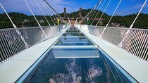 1 Day Zhangjiajie Grand Canyon Glass Bridge and Zip Line