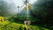 Private Tour Guide - Ubud Rice Terraces Temple & Waterfall