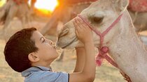 From Marrakech Moroccan Breakfast and camel ride in Agafay Desert