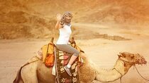 Enjoy Sun Set View with Camel Ride & Barbeque Dinner - Aagdir