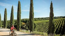 E-Bike Rental in the Tuscan Hills from Castellina in Chianti