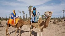 Palmeraie Palm Grove Camel Ride one hour & Transfer - Marrakesh