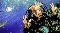 Hurghada Full-Day Scuba Diving & Snorkeling Adventure with Lunch 