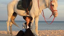 Hurghada: 2-Hour Horse Ride on Desert & Beach with Transfer 