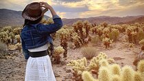 Joshua Tree National Park and Pioneertown Tour