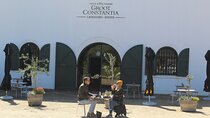 Cape Town Table Mountain and Constantia Wine Tasting tour 