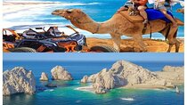Camel Ride, UTV, and The Arch Tour with Lunch & Tequila Tasting!
