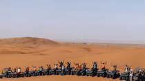 ATV Quad Bike Experience in Takad Forest with Beach Ride - Agadir