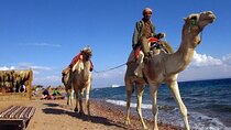 3 Pools Dahab Canyon with Lunch and Camel Ride-Sharm El Sheikh