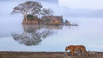 Golden Triangle With Bird & Tiger Safari Expedition