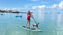 Private Aruba Stand Up Paddleboard Experience