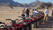 Super Safari ATV Quad , Show & Dinner W/Transfer -Sharm el Sheikh