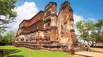 Polonnaruwa Ancient Site and Minneriya National Park Tour
