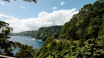 Private Luxury Road to Hana Experience