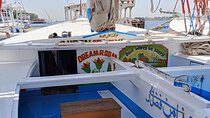 Luxor Private Felucca Ride and Karnak Sound & Light English Show