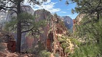 Scout Lookout: Small Group Guided Hike Zion Canyon