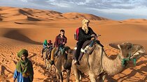 Marrakech to Fez: Sunset Camels & Sahara Dreams