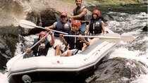 Bali Rafting Adventure and Ubud Monkey Forest Visit 